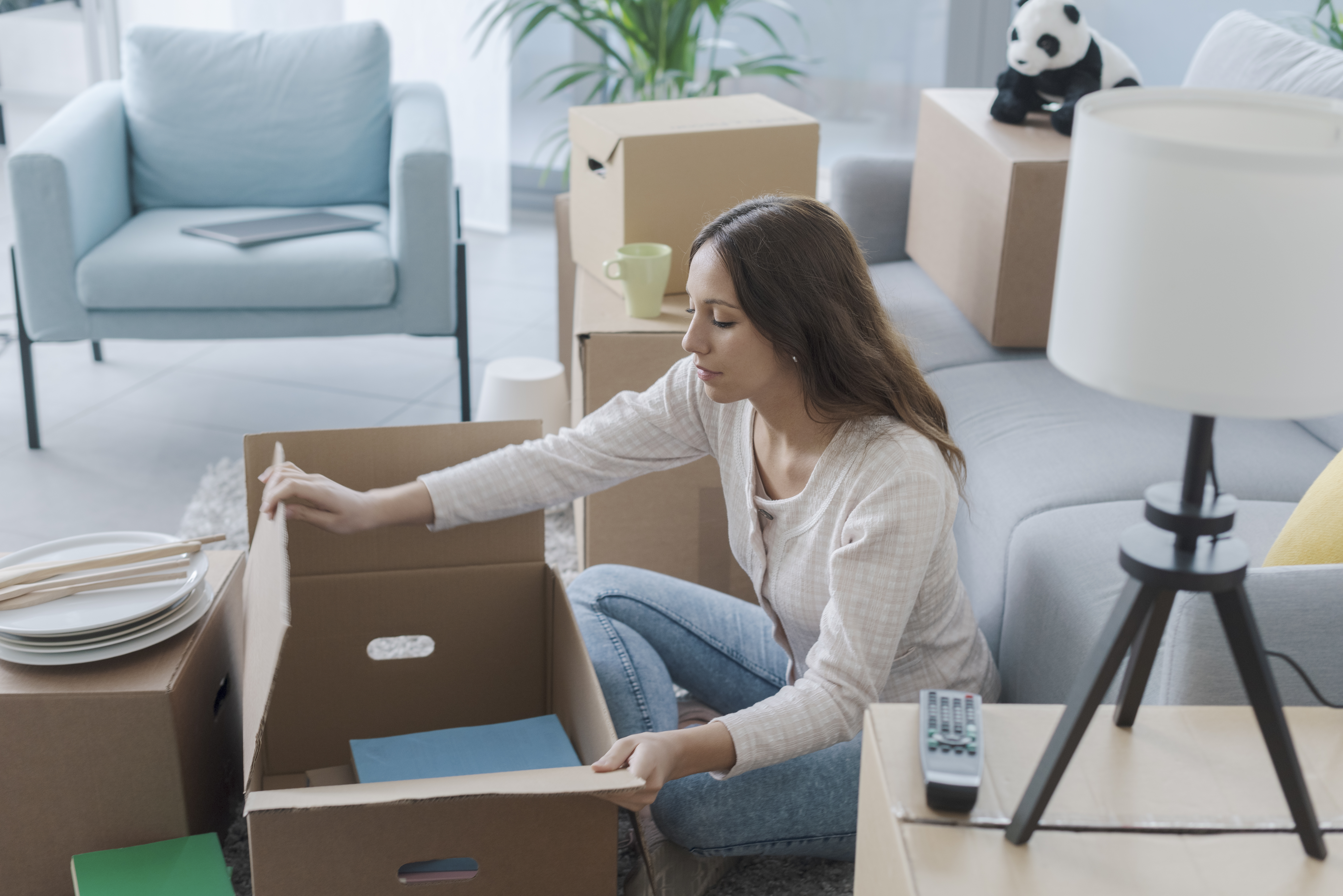 Budget-friendly movers